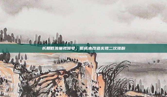 长期低流量视频号，低成本改造实现二次涨粉