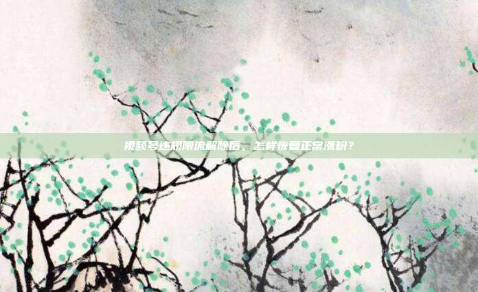 视频号违规限流解除后，怎样恢复正常涨粉？
