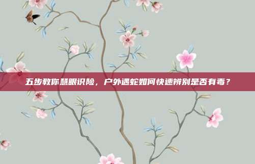 五步教你慧眼识险，户外遇蛇如何快速辨别是否有毒？