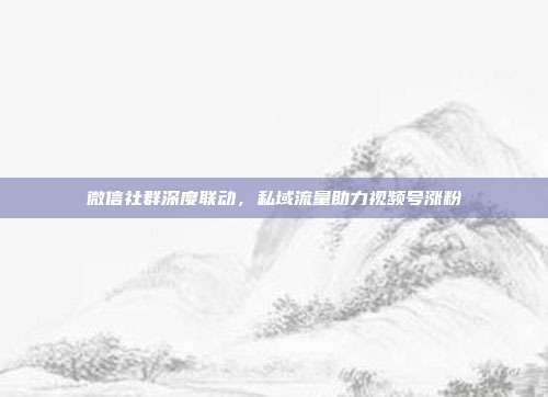 微信社群深度联动，私域流量助力视频号涨粉