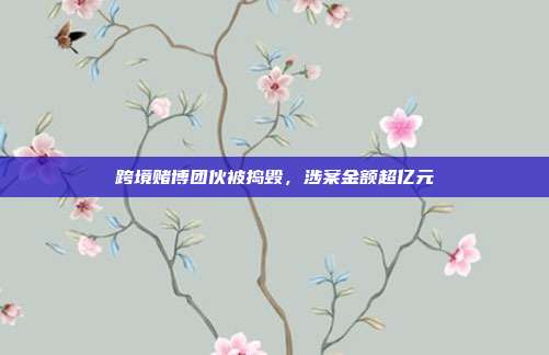 跨境赌博团伙被捣毁，涉案金额超亿元