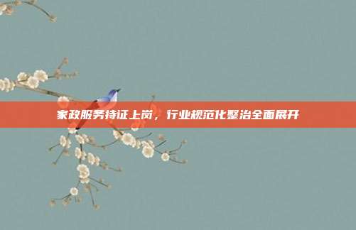 家政服务持证上岗，行业规范化整治全面展开