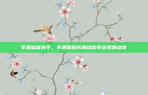 零基础做快手，不用露脸长期稳定收获视频点赞