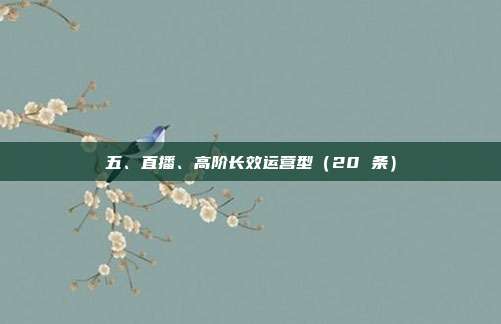 五、直播、高阶长效运营型（20 条）