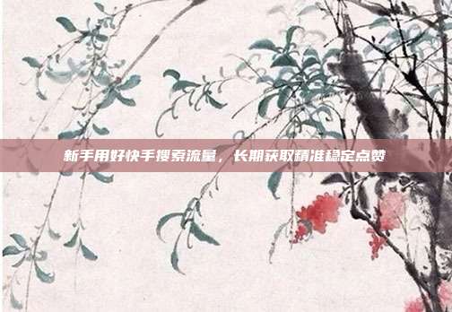 新手用好快手搜索流量，长期获取精准稳定点赞