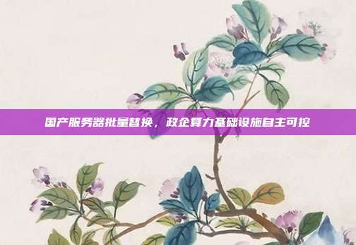 国产服务器批量替换，政企算力基础设施自主可控