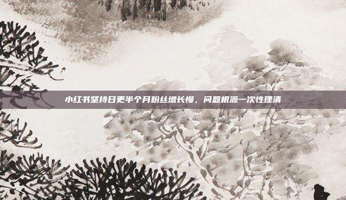 小红书坚持日更半个月粉丝增长慢，问题根源一次性理清