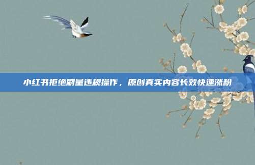 小红书拒绝刷量违规操作，原创真实内容长效快速涨粉