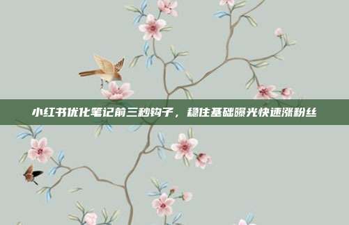 小红书优化笔记前三秒钩子，稳住基础曝光快速涨粉丝
