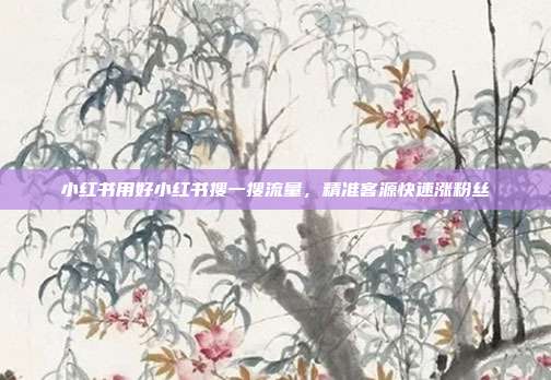 小红书用好小红书搜一搜流量，精准客源快速涨粉丝