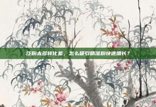 泛粉太多转化差，怎么吸引精准粉快速增长？