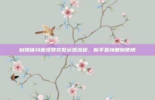 自媒体抖音涨赞完整运营流程，新手直接复制使用