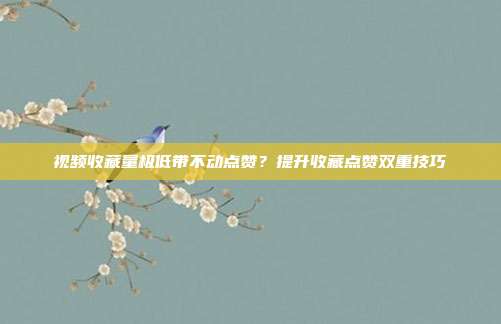 视频收藏量极低带不动点赞？提升收藏点赞双重技巧
