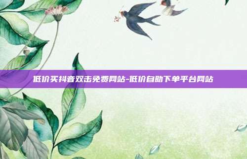 低价买抖音双击免费网站-低价自助下单平台网站