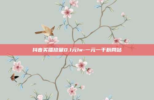 抖音买播放量0.1元1w-一元一千粉网站