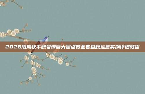 2026限流快手账号恢复大量点赞全套合规运营实操详细教程