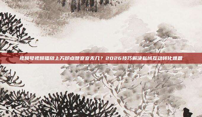 视频号视频播放上万却点赞寥寥无几？2026技巧解决私域互动转化难题