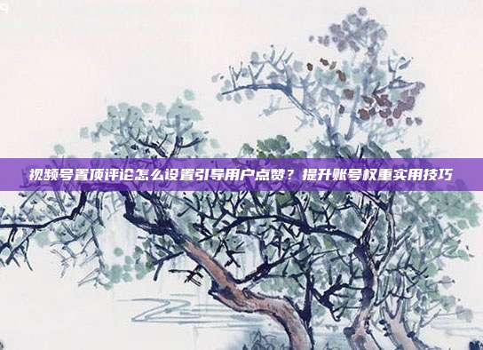 视频号置顶评论怎么设置引导用户点赞？提升账号权重实用技巧
