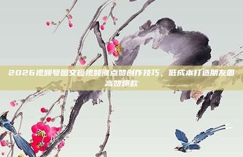 2026视频号图文短视频涨点赞创作技巧，低成本打造朋友圈高赞爆款