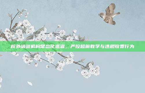 校外培训机构常态化巡查，严控超前教学与违规收费行为