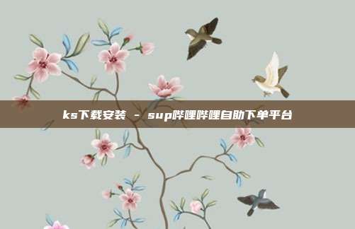 ks下载安装 - sup哔哩哔哩自助下单平台