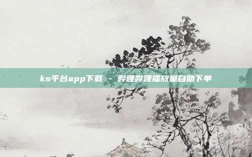 ks平台app下载 - 哔哩哔哩播放量自助下单