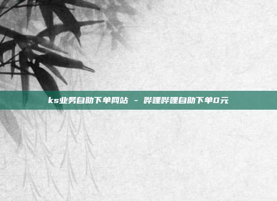 ks业务自助下单网站 - 哔哩哔哩自助下单0元