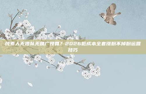 纯素人无团队无推广预算？2026低成本全套涨粉不掉粉运营技巧