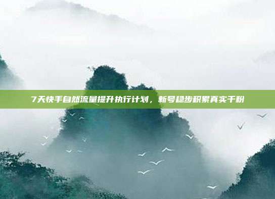 7天快手自然流量提升执行计划，新号稳步积累真实千粉