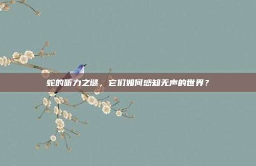 蛇的听力之谜，它们如何感知无声的世界？