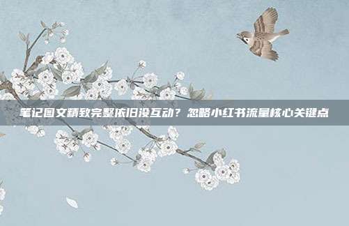 笔记图文精致完整依旧没互动？忽略小红书流量核心关键点