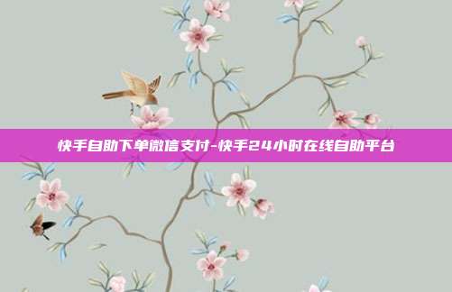 快手自助下单微信支付-快手24小时在线自助平台