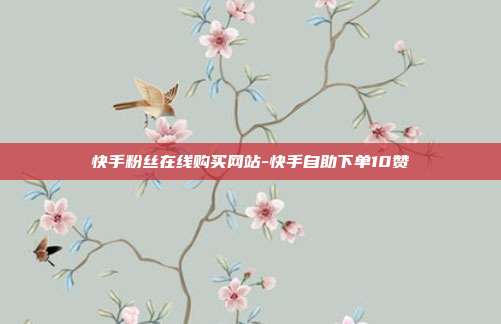 快手粉丝在线购买网站-快手自助下单10赞