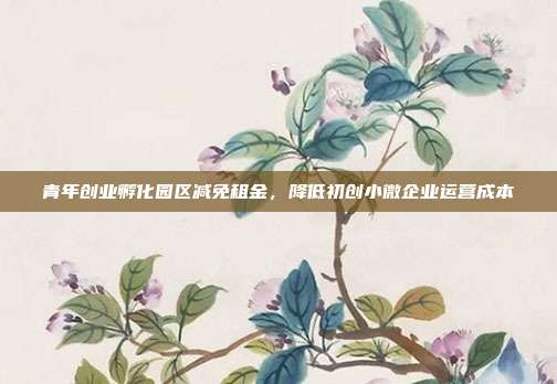 青年创业孵化园区减免租金，降低初创小微企业运营成本