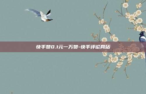 快手赞0.1元一万赞-快手评论网站