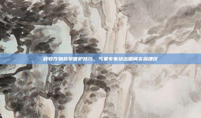 秋收作物抗旱管护技巧，气象专家给出田间实操建议