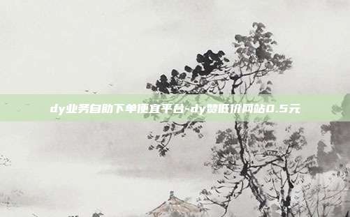 dy业务自助下单便宜平台-dy赞低价网站0.5元