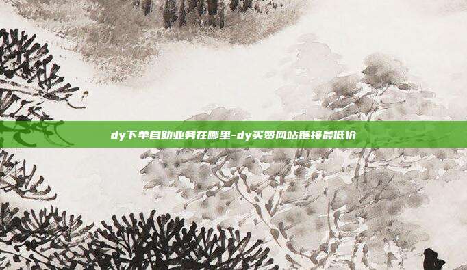 dy下单自助业务在哪里-dy买赞网站链接最低价