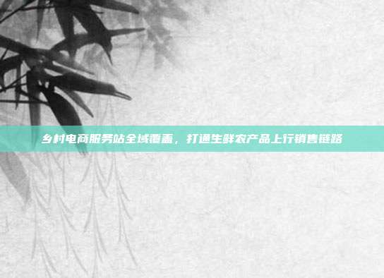 乡村电商服务站全域覆盖，打通生鲜农产品上行销售链路