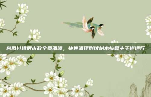 台风过境后市政全员清障，快速清理倒伏树木恢复主干道通行
