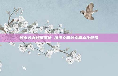 城市养宠规范落地 推进文明养宠常态化管理