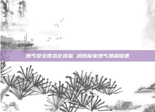 燃气安全常态化排查 消除居家燃气泄漏隐患