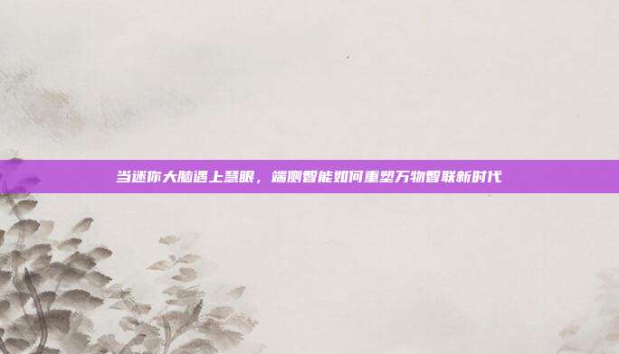 当迷你大脑遇上慧眼,端侧智能如何重塑万物智联新时代