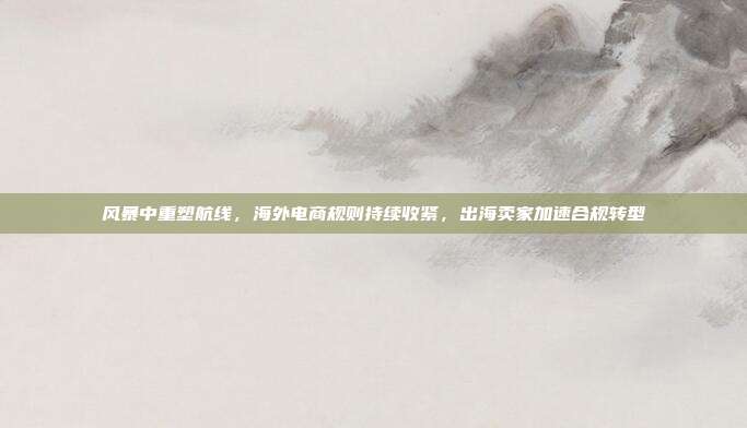 风暴中重塑航线,海外电商规则持续收紧,出海卖家加速合规转型