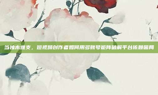 当独木难支,短视频创作者如何用多账号矩阵破解平台依赖困局