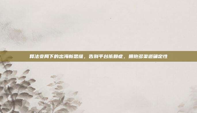 算法变局下的出海新思维,告别平台依赖症,拥抱多渠道确定性