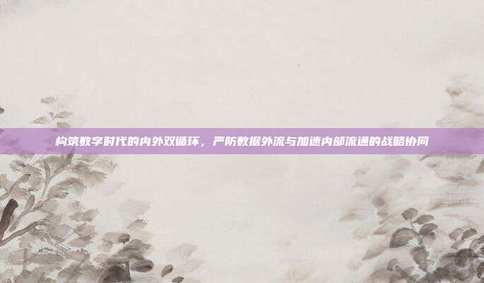 构筑数字时代的内外双循环,严防数据外流与加速内部流通的战略协同