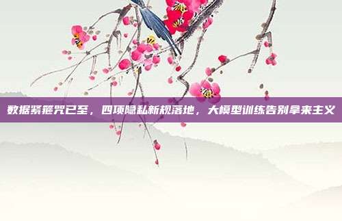 数据紧箍咒已至,四项隐私新规落地,大模型训练告别拿来主义