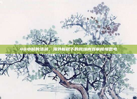 48小时的涟漪,海外新规下的跨境内容审核慢思考
