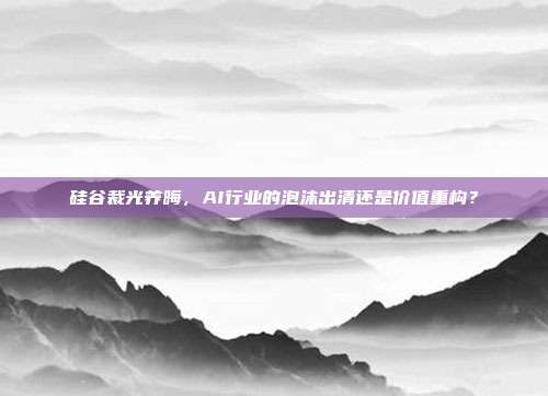 硅谷裁光养晦，AI行业的泡沫出清还是价值重构？